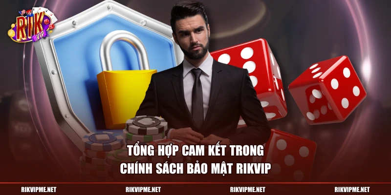 Tổng hợp cam kết trong chính sách bảo mật RIKVIP